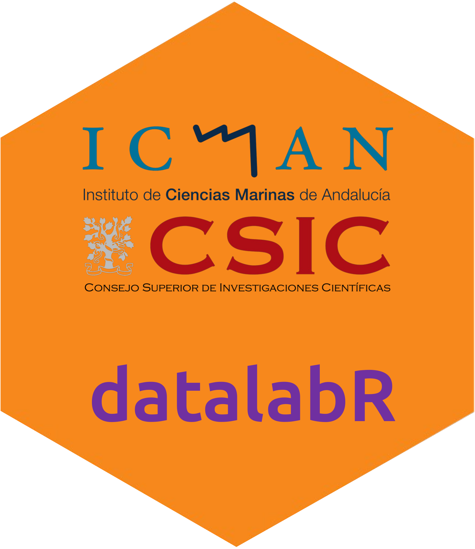 datalabR hex logo